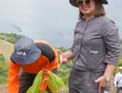 Wabup Samosir Tanam Pohon di Lereng Gunung Pusuk Buhit, Perkuat Komitmen Pelestarian Alam